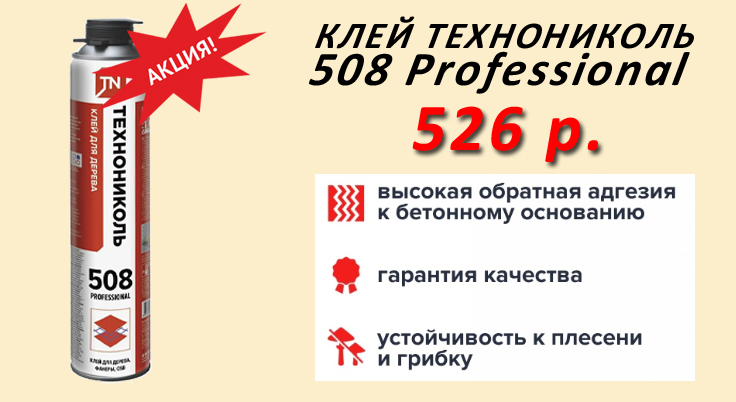   508 PROFESSIONAL